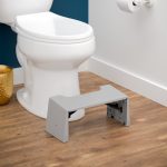 Squatty Potty Travel Porta Squatty?